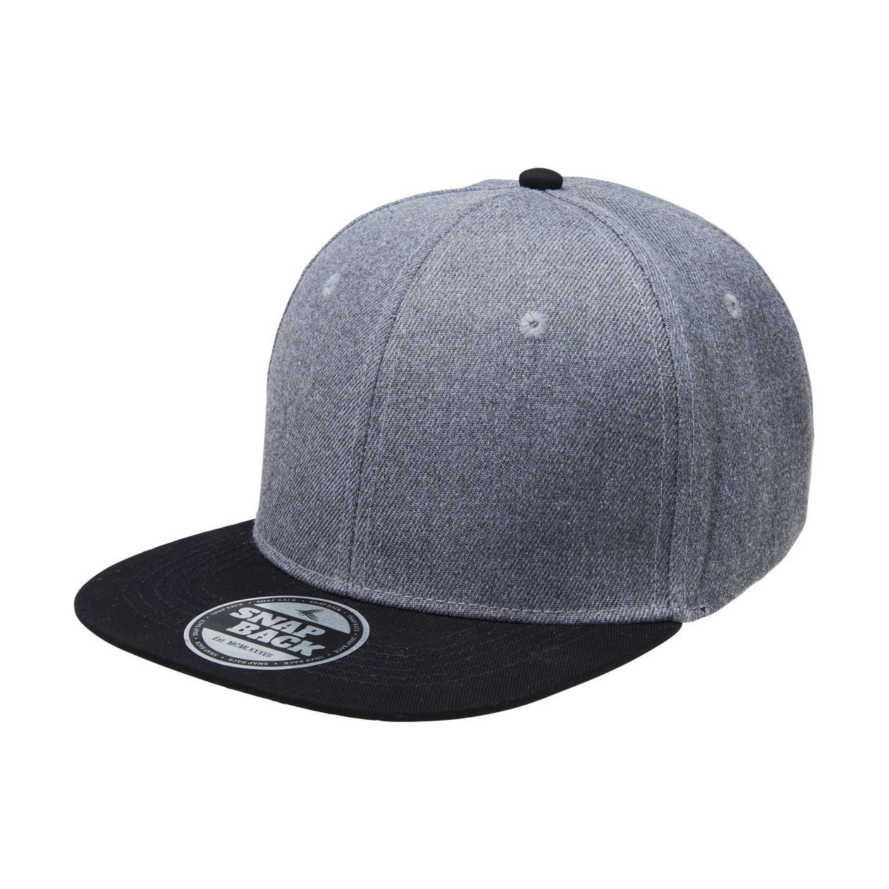 Heathered Snapback